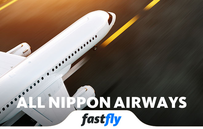all nippon airways uçakları