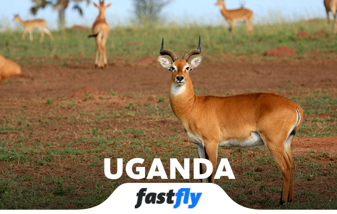 uganda tatil tur